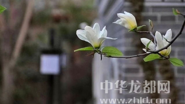 淮陽蓮舍，多了一份味道